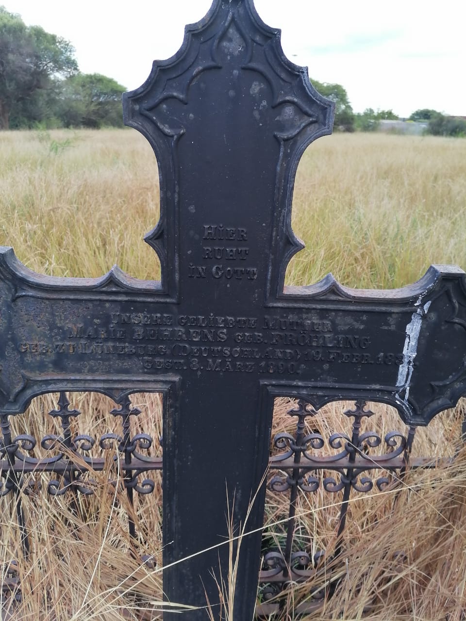 WhatsApp Image 2023-05-11 at 14.58.05